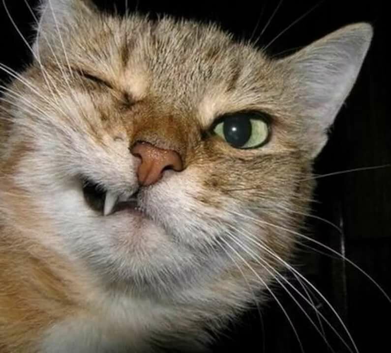 �� �� ����� �������� � ��������� ����������