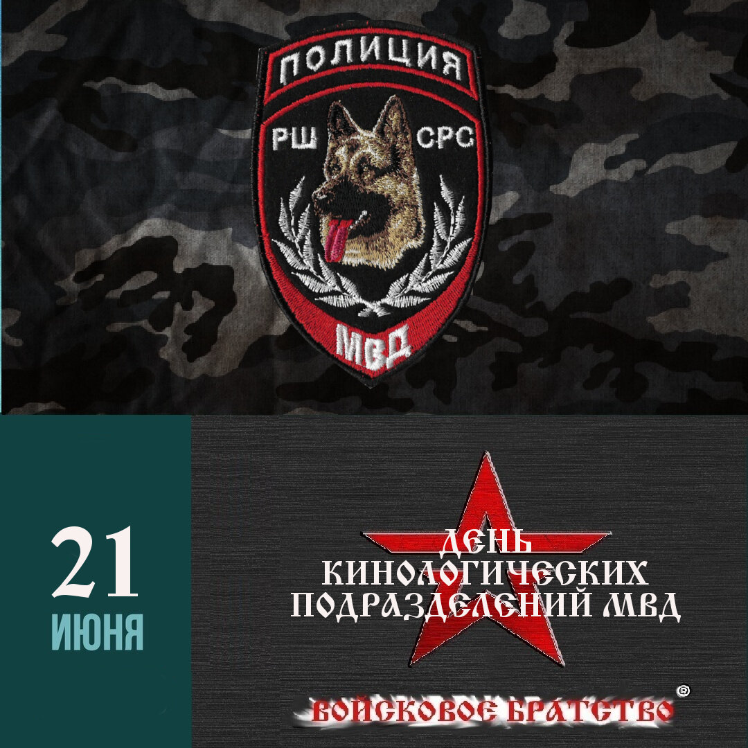 военная контрразведка фото