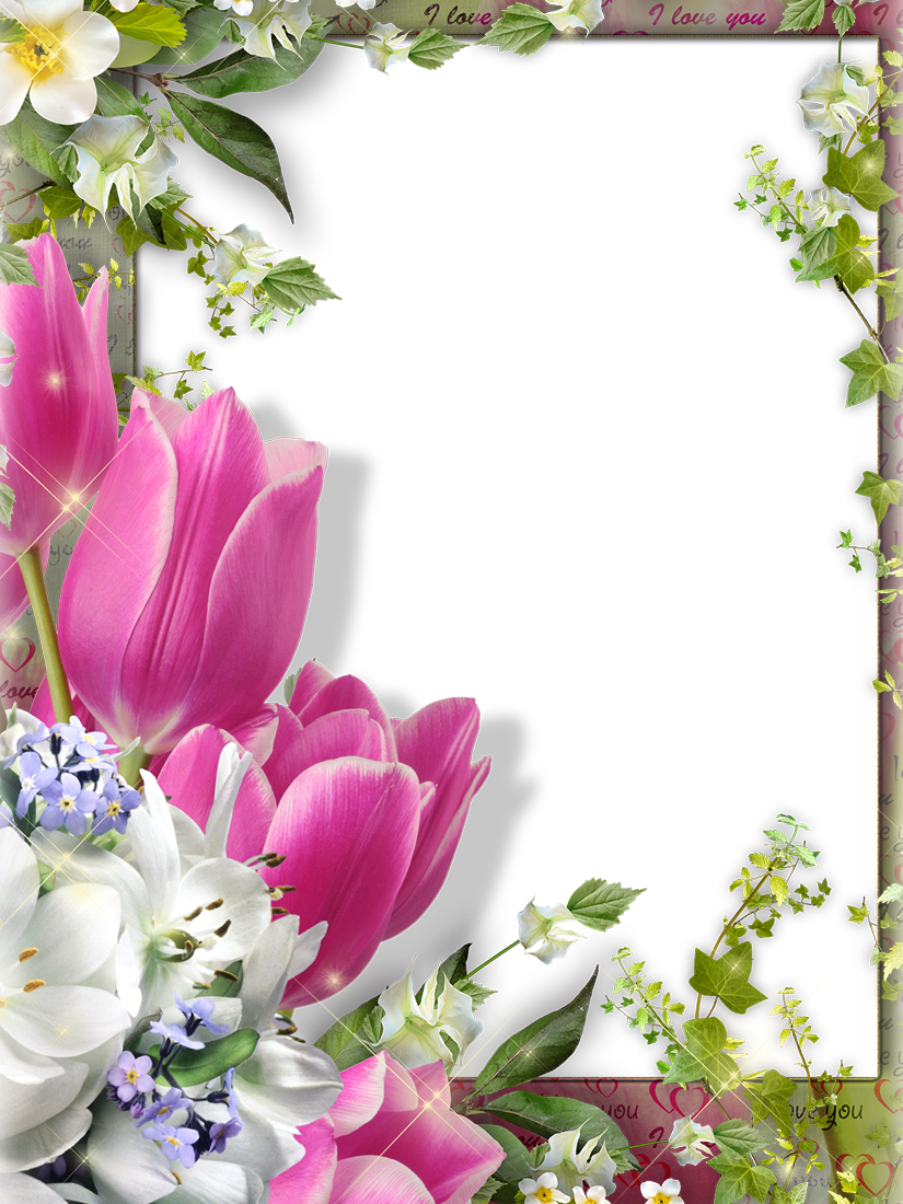 ��������, ������� � ��������