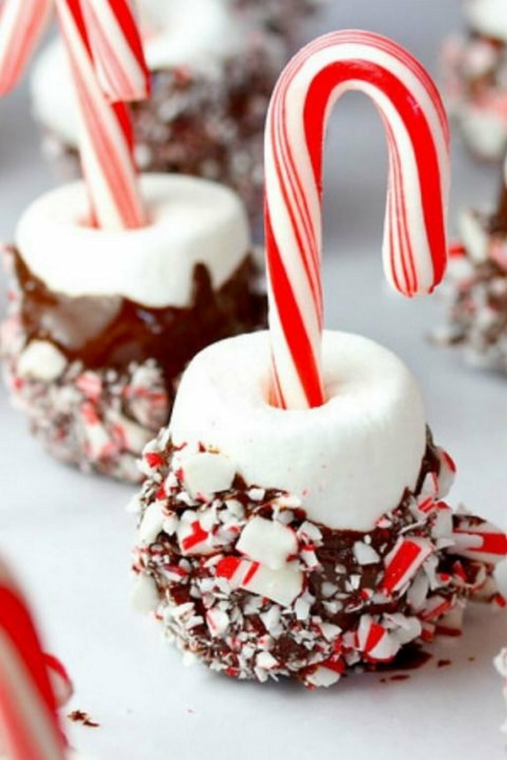 candy cane фото