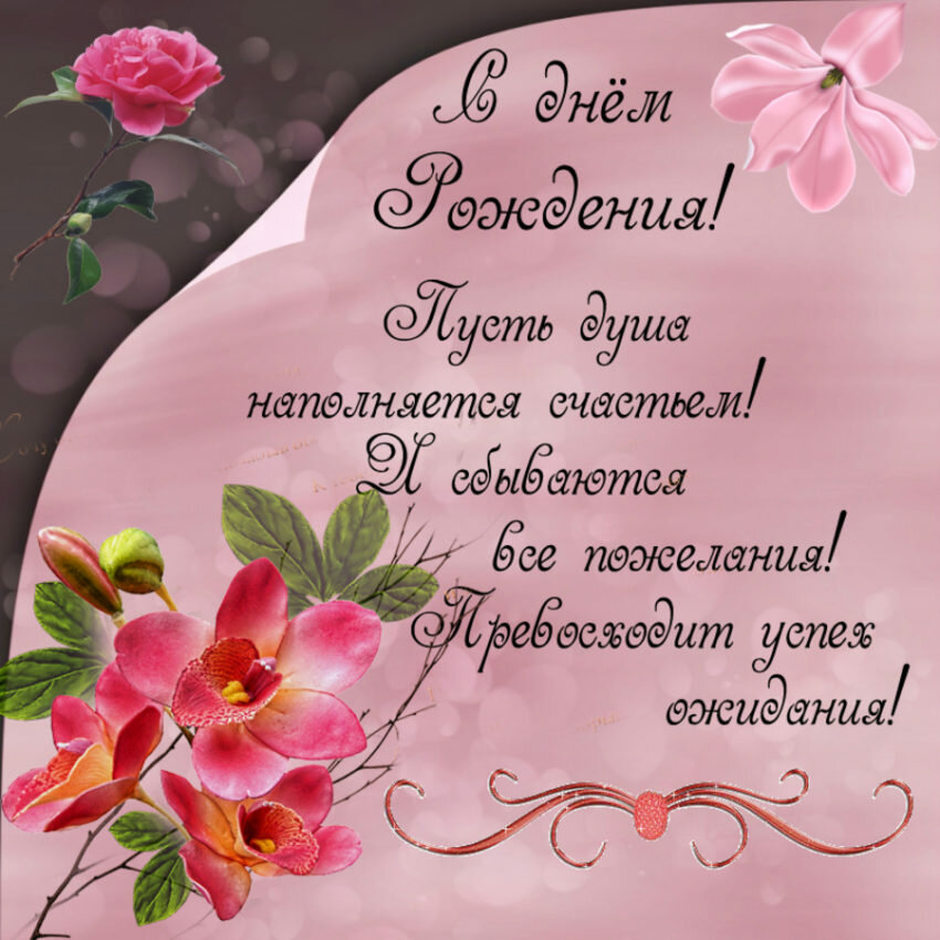 ������������ �������� ���