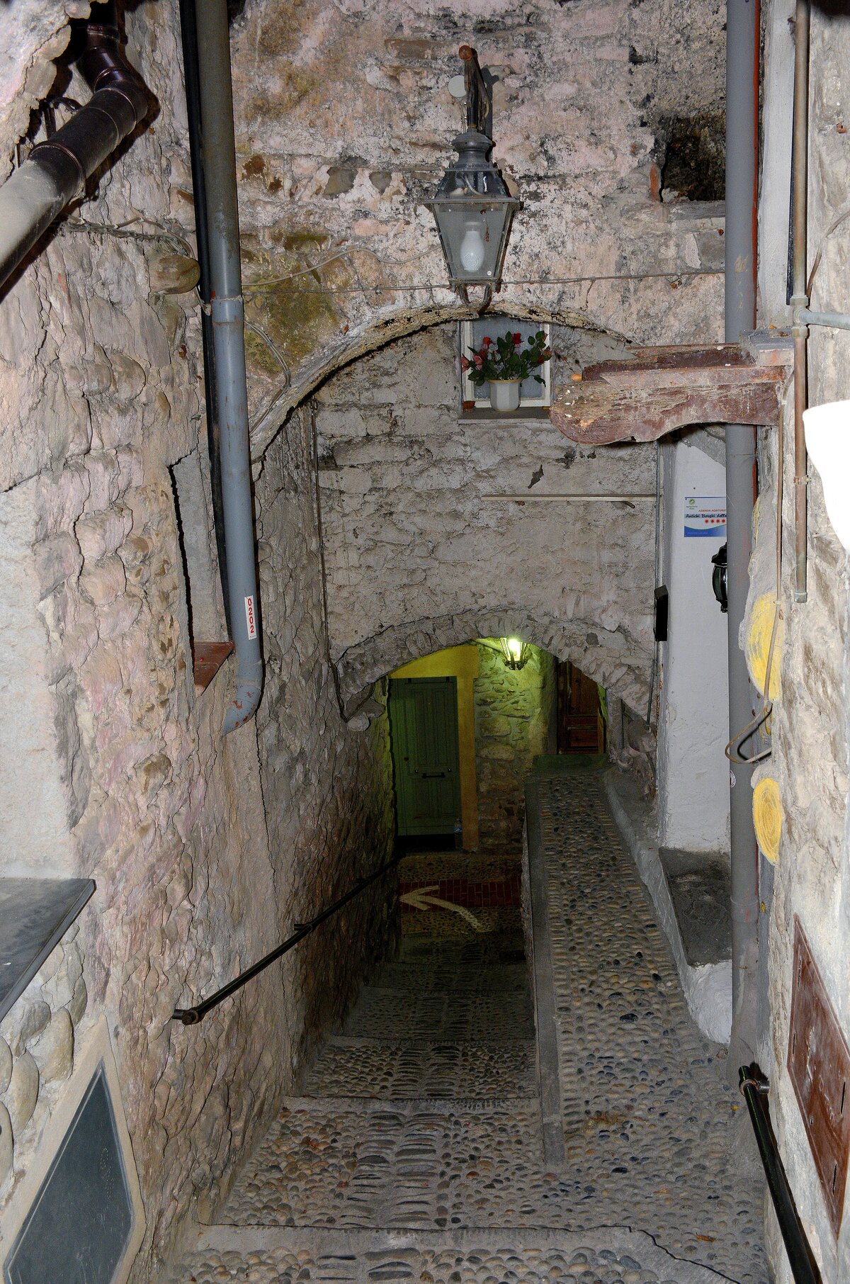 бутылка фото