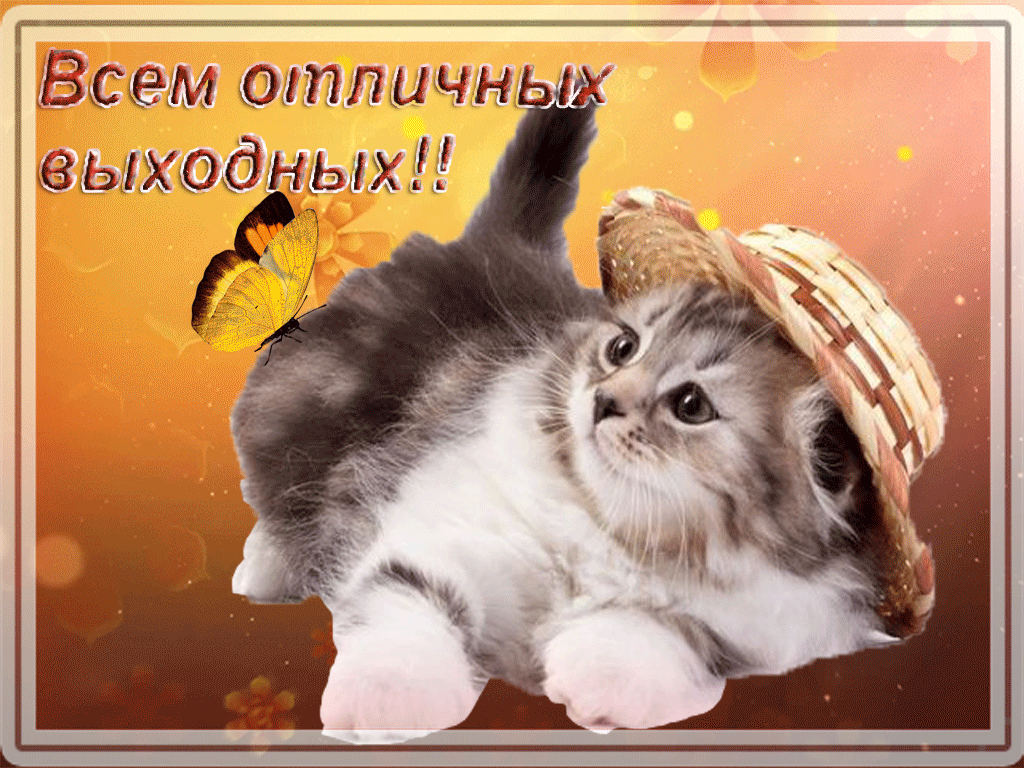 Приятные выходные с подругой