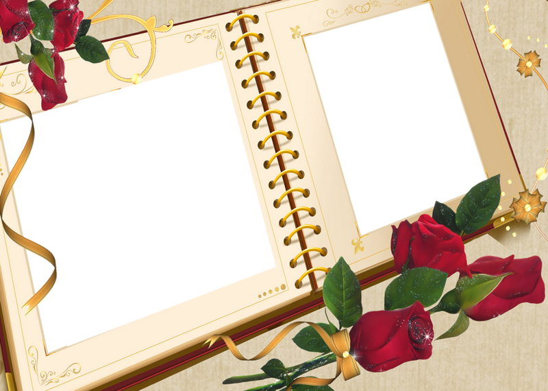 ������������ ����������, ������� ������������ � �������� ������