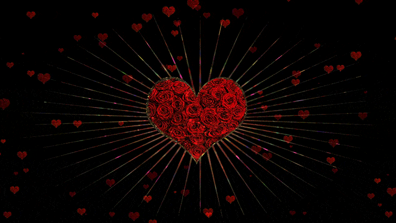 �������� ������ ������ ��������, ��������