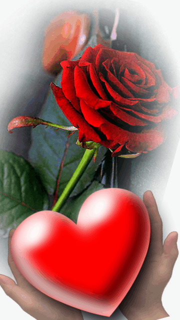 9d410f8e53383ea a nw p