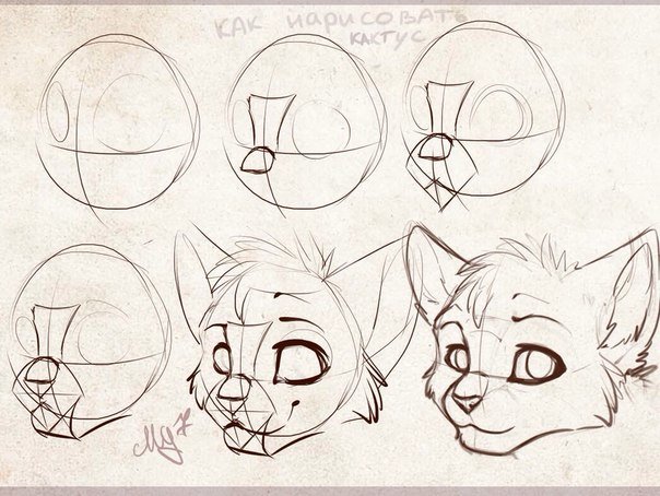 Как научиться рисовать красиво фурри