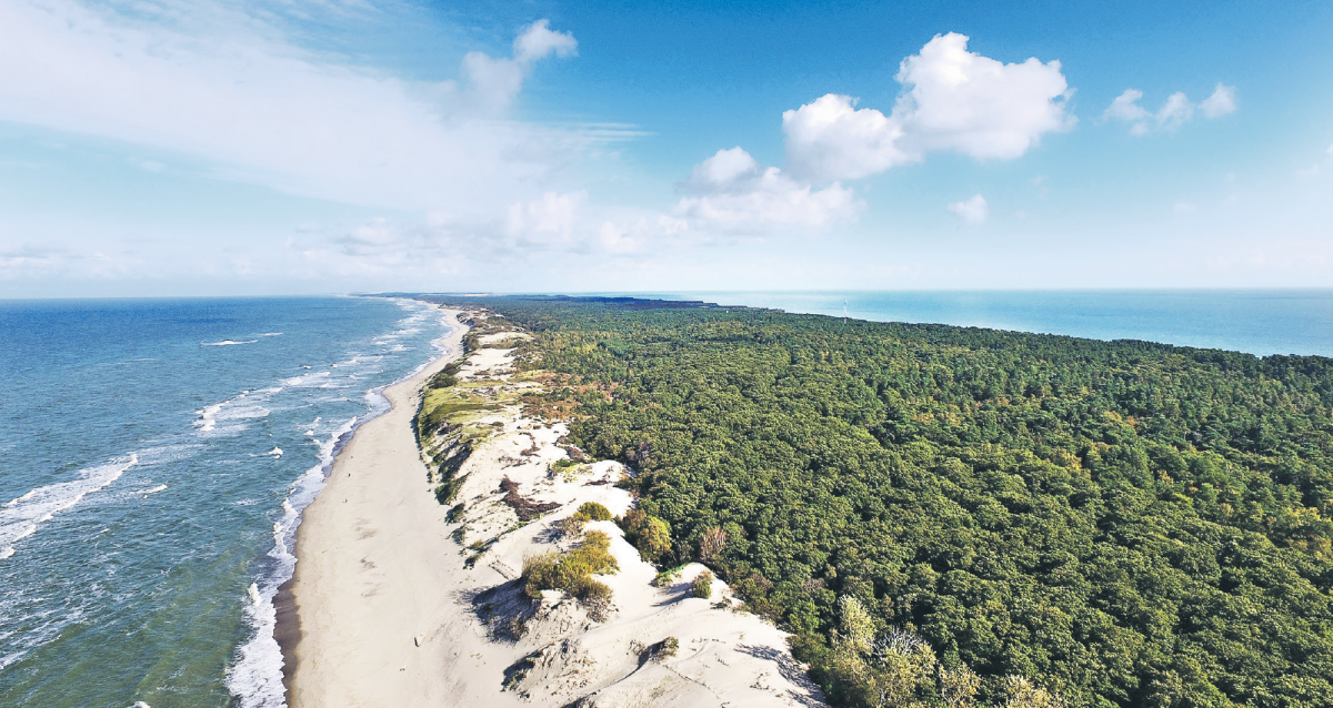 балтийское море куршская коса фото