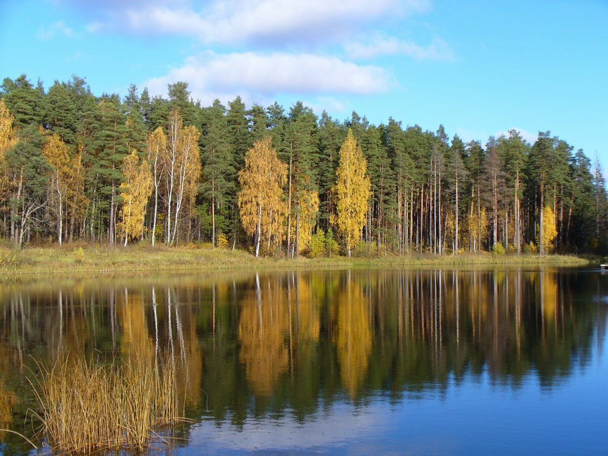 луковое озеро ногинск фото