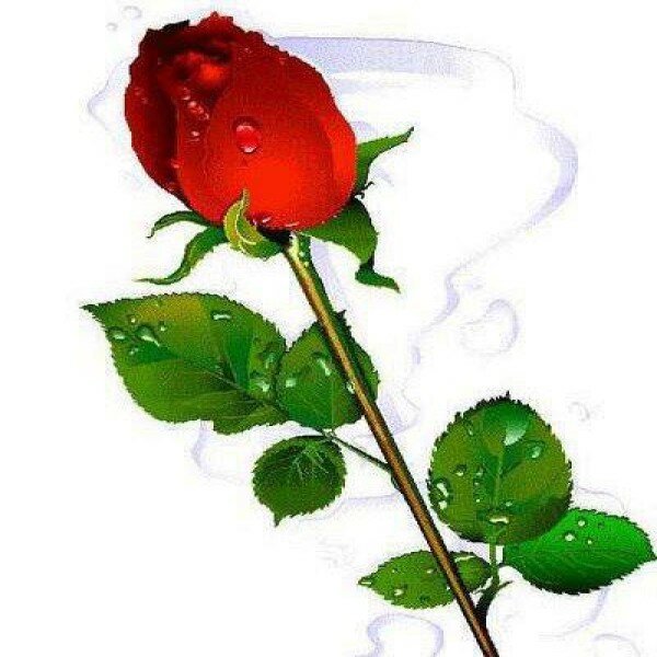 �������� ���, �������� � ��������� �����