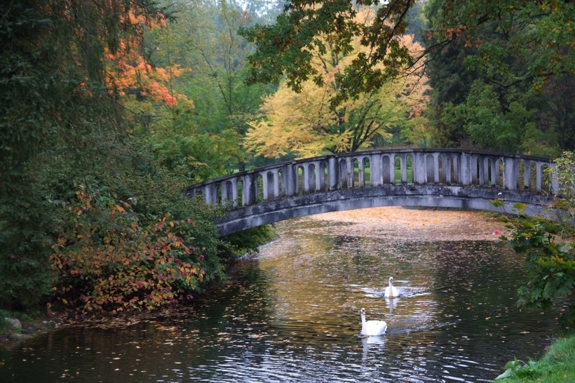 парк в царицыно с мостиками фото