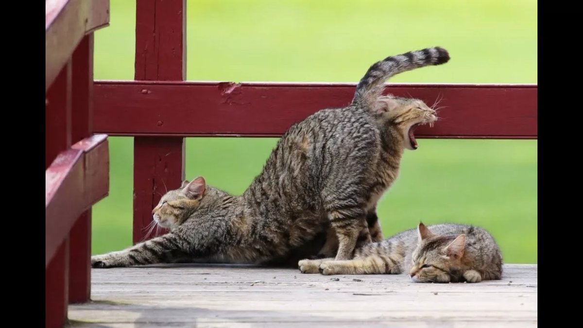 ������� � ��������� ����� ��������