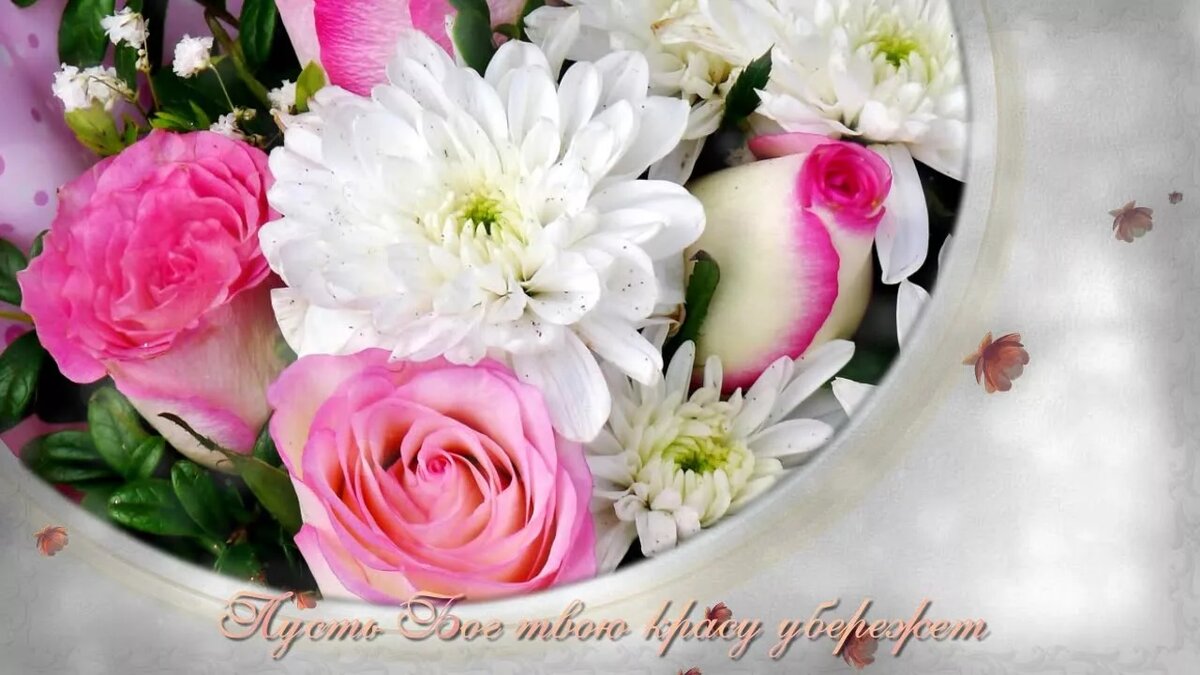 �������� ����� ����� �������� ������� �� �����, �������� ������