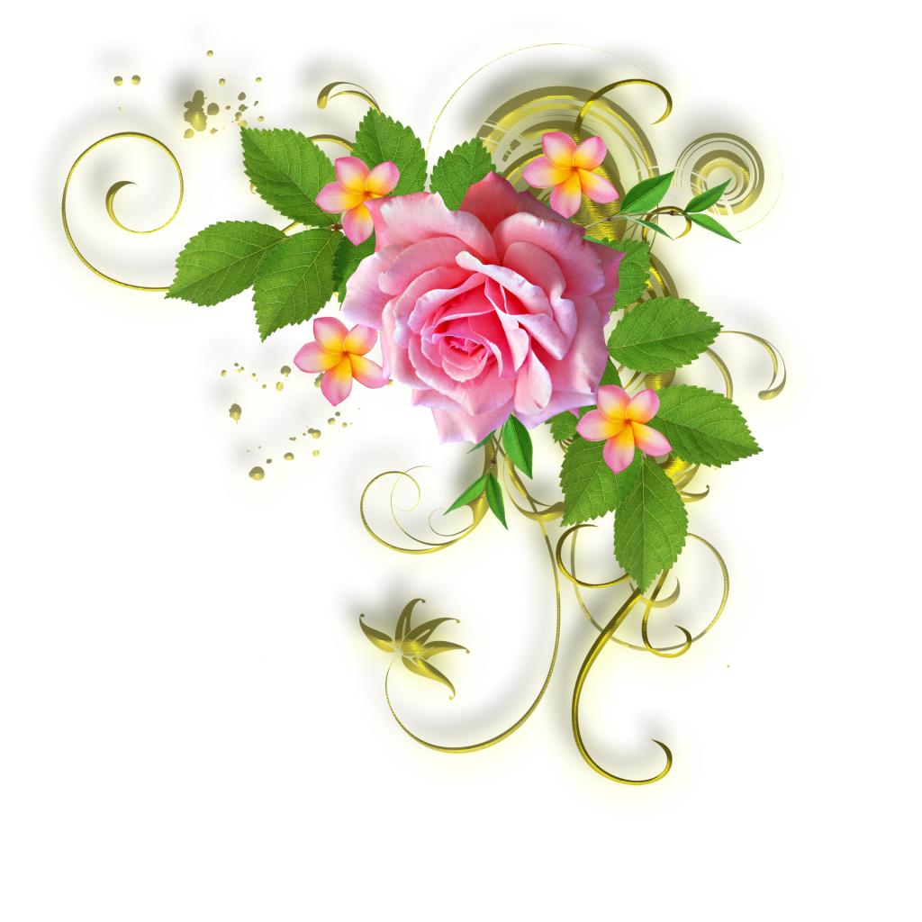 �������� ��� �������� ������