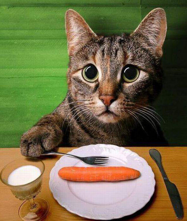 ����������� ������� ��������