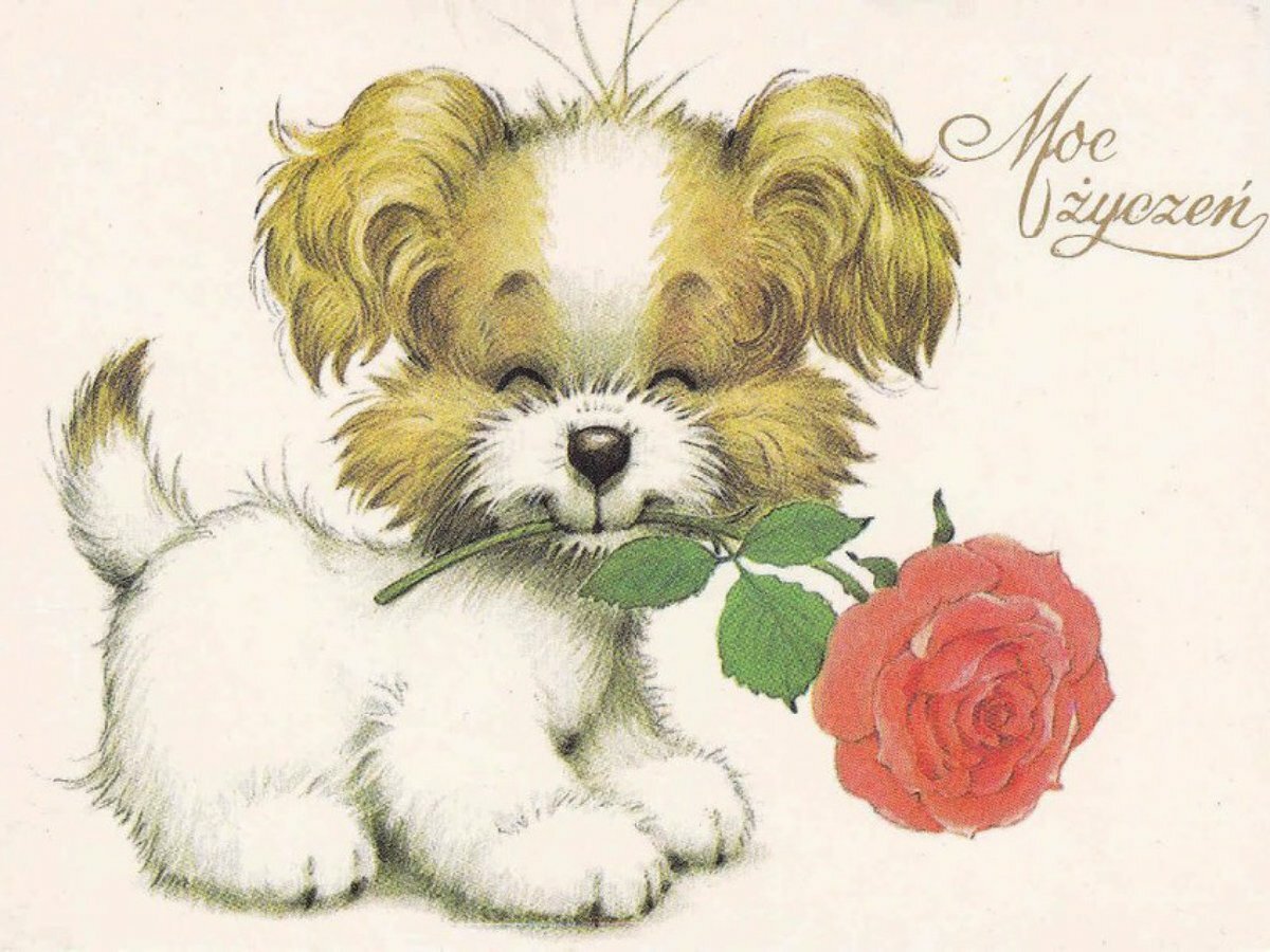 ���� ������, ������� ��� �������� ��������