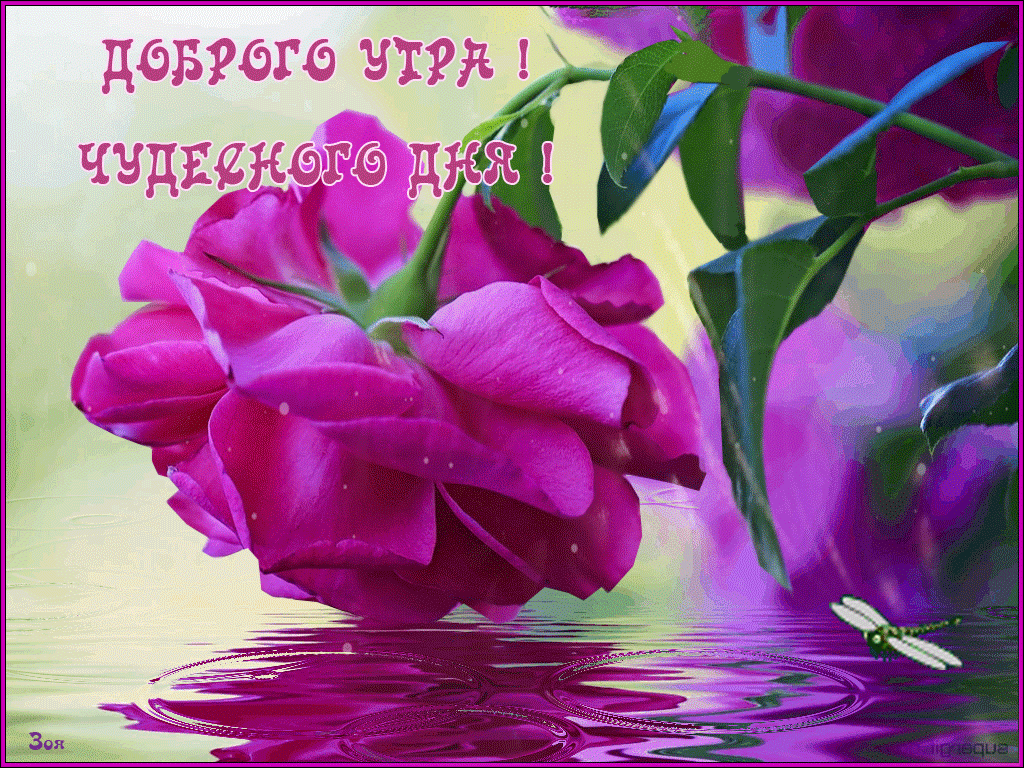 �������� ����� ���������