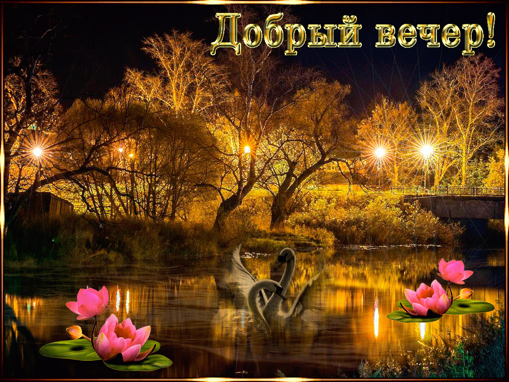 ����� �������� ��������� ������ �����