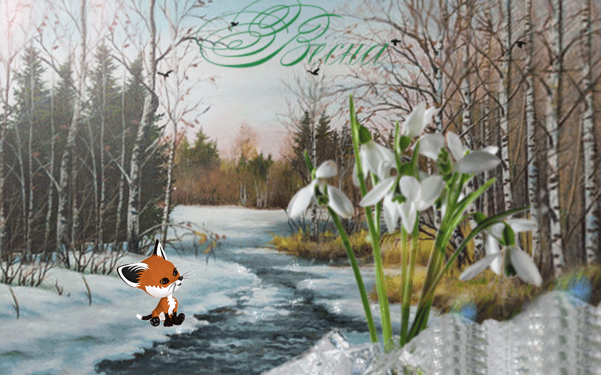 �������� �������� ����� ��� �����, �������� ������� ������