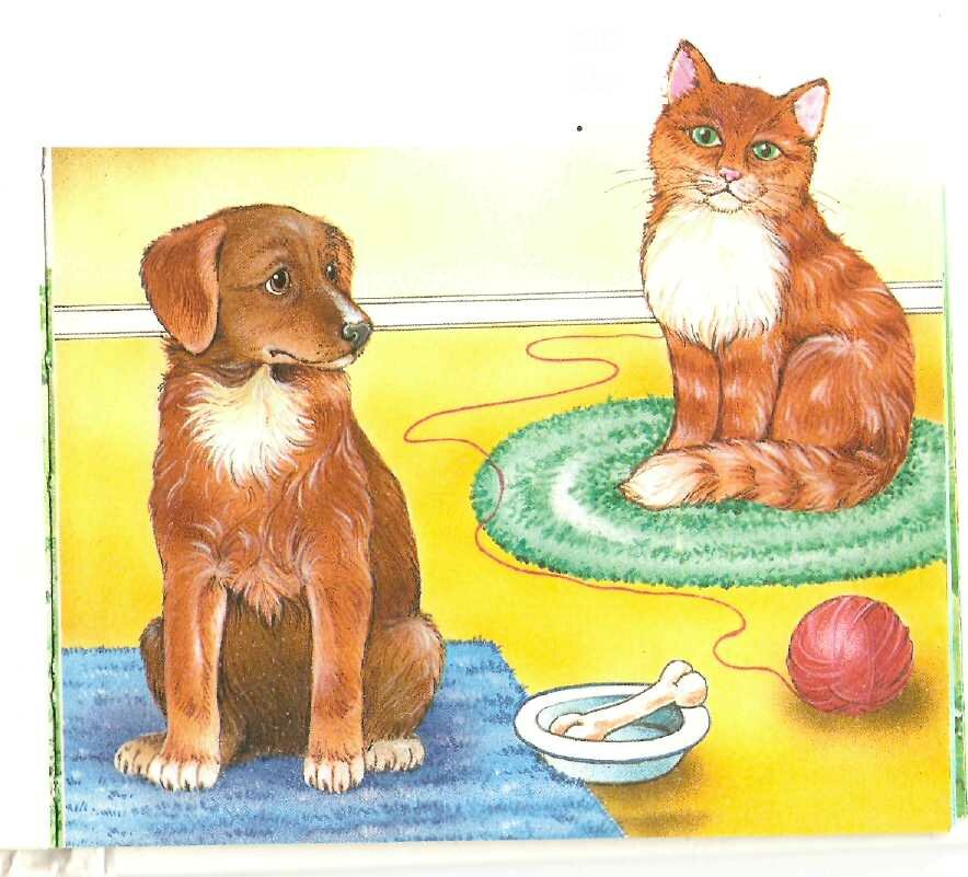 Картинки на тему мои любимые животные