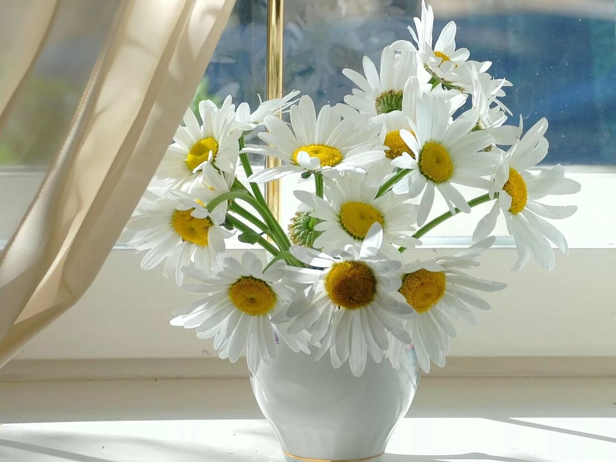 ��������, �������� ������� ����� ���������