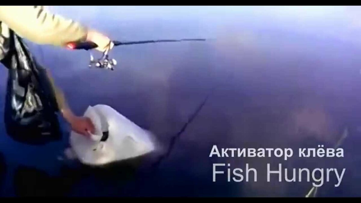 рыбалка фото