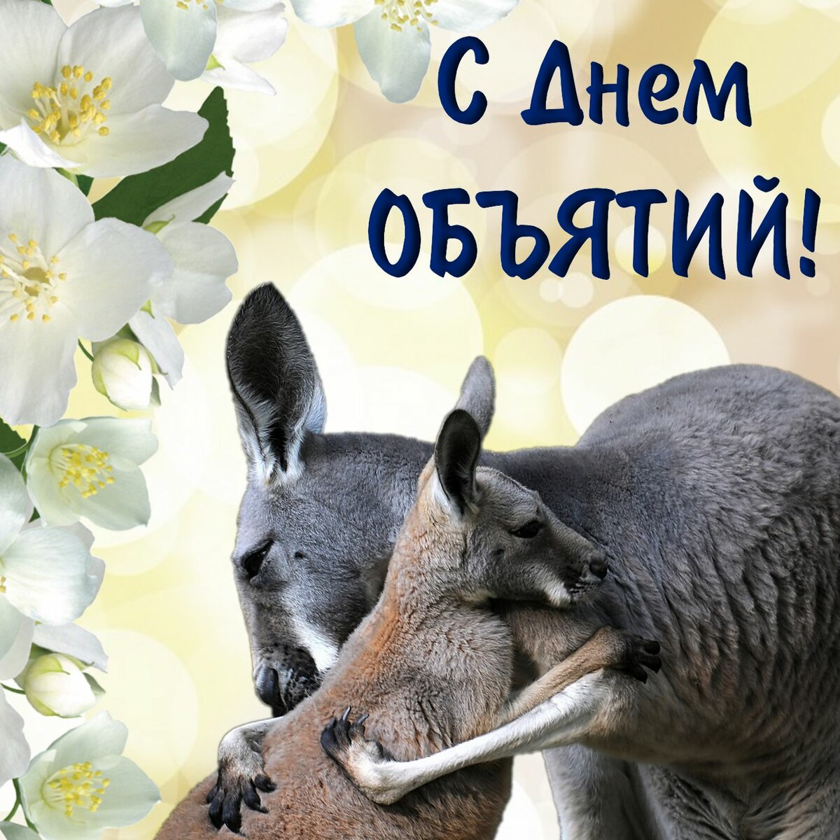 �������� �������, �������� �������������