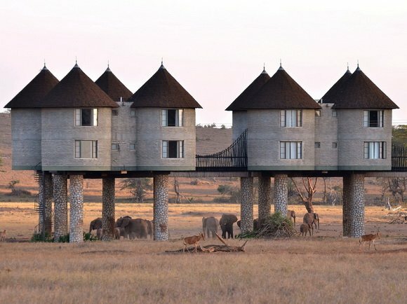 сафари-отель сарова солтлик (sarova saltlick game lodge), кения фото