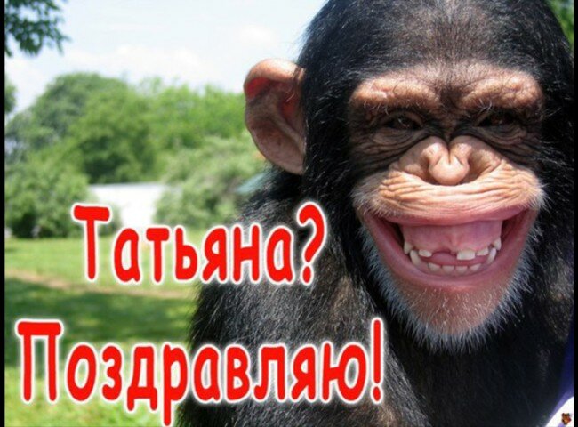 ������� �������� � ��� �������