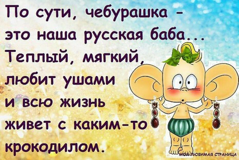 Интересные и смешные высказывания на картинках » Wesperinfo.ru