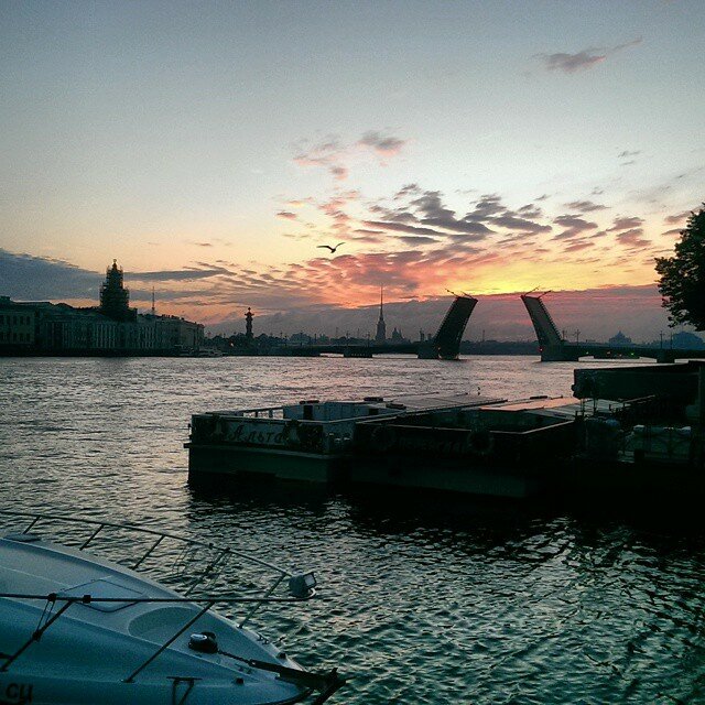 нева питер фото