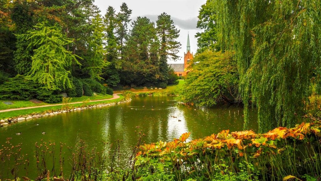 пейзаж парка фото