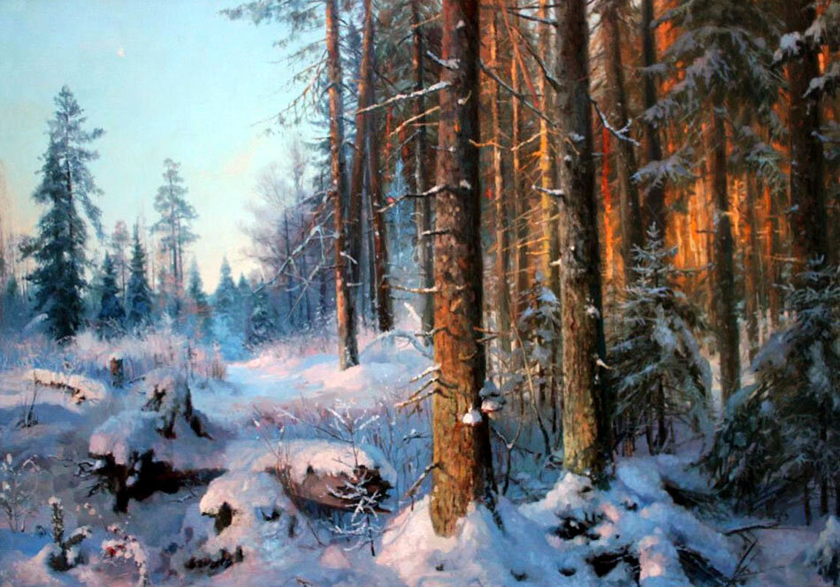 юлий юльевич клевер зимний закат в еловом лесу фото