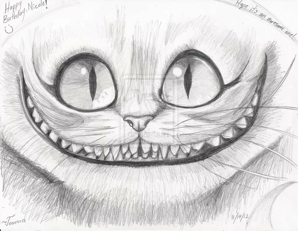 Рисунки карандашом коты прикольные