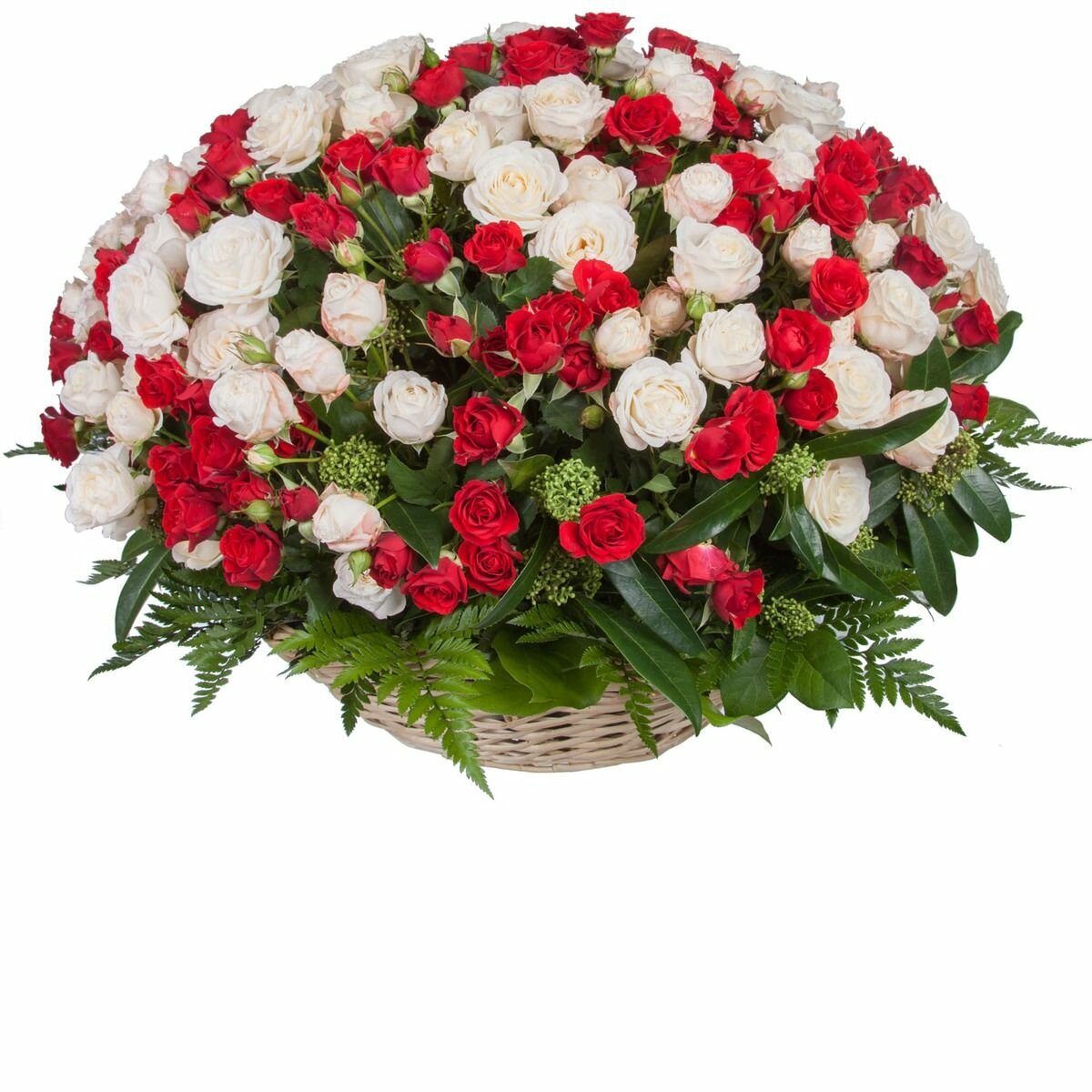 �������� ������, �������� � �������� �����