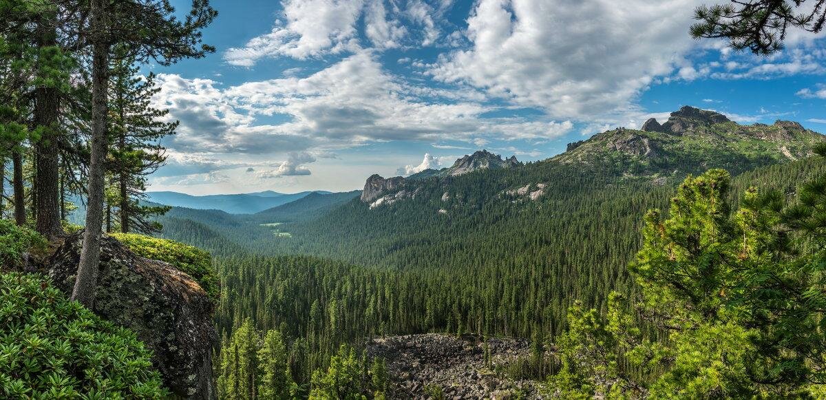 сибирская тайга картинки фото