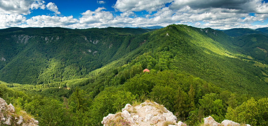 гора мезмай фото
