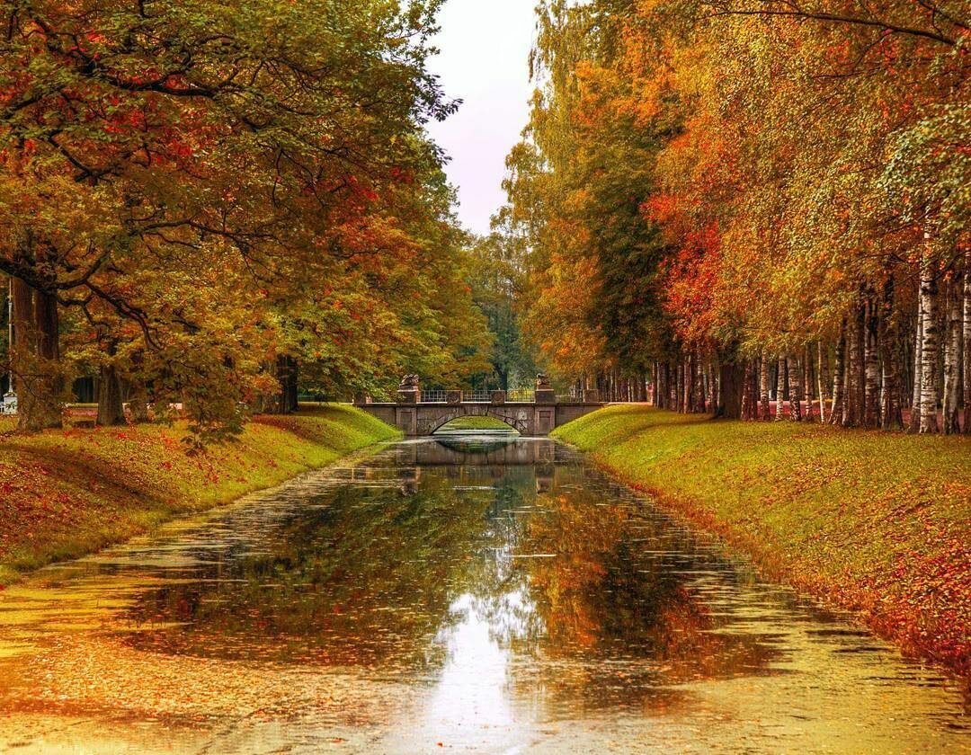 пушгоры осень фото