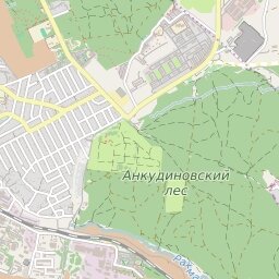 анкудиновский ботанический лесопарк фото
