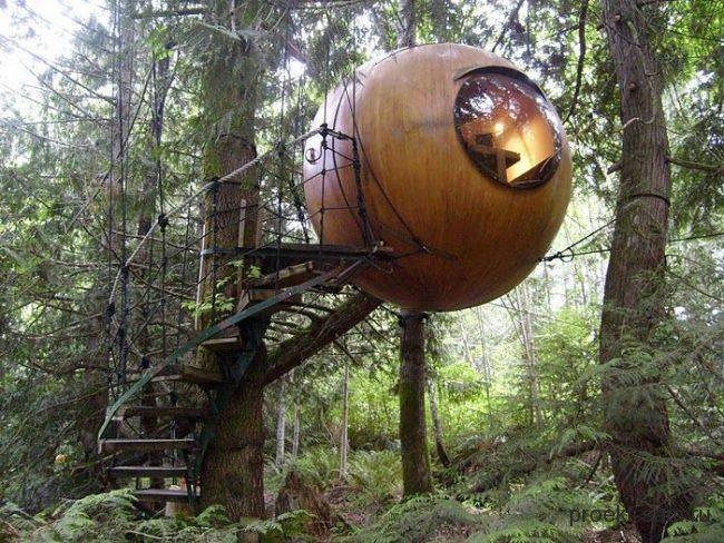 free spirit spheres канада, остров ванкувер фото