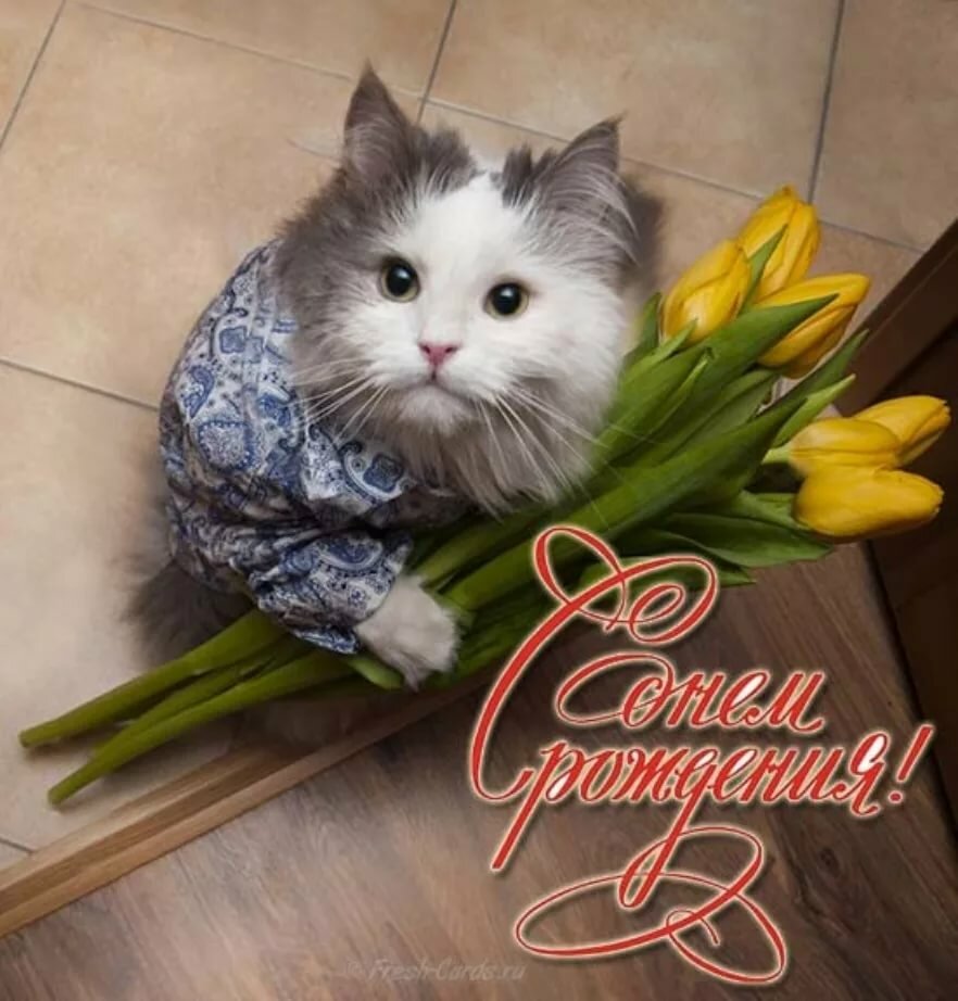 ���������� ������������ � ���� �������� ���� ��������, ��������