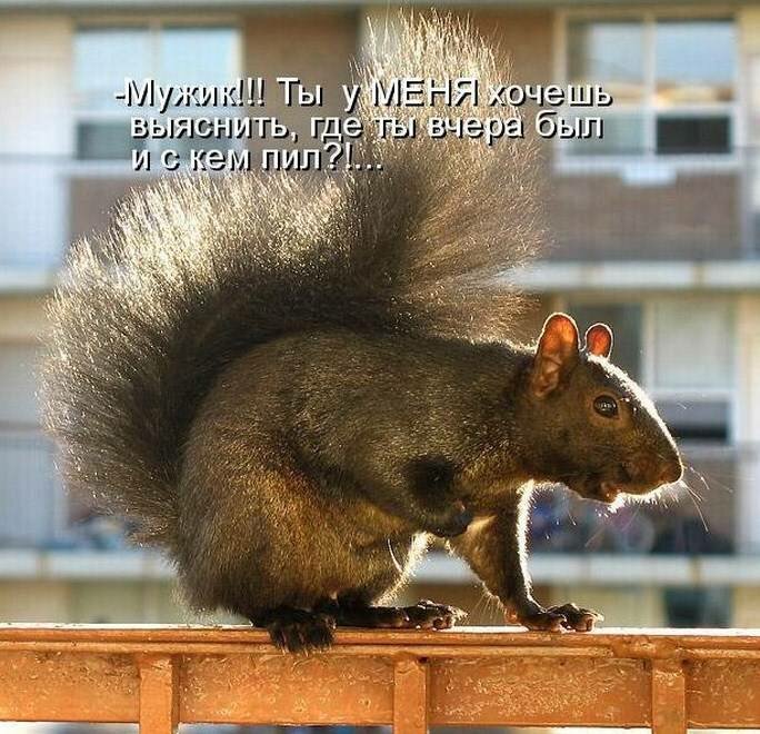 ���������� �������� ��� ������� � ���������