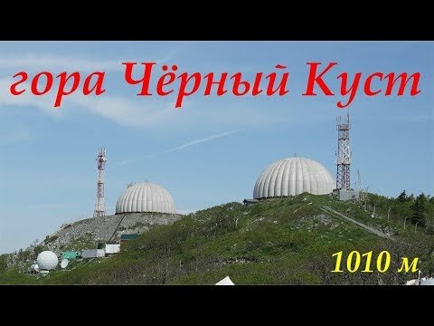 гора чёрный куст фото