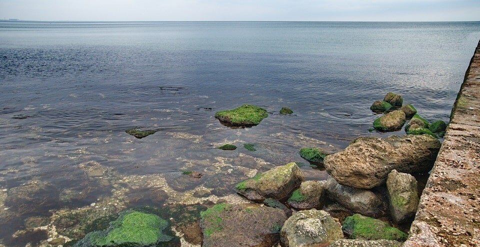 пляж суворинские камни фото