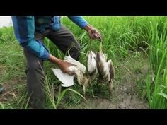mancing ikan фото