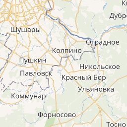 частные школы пушкин павловск колпино фото