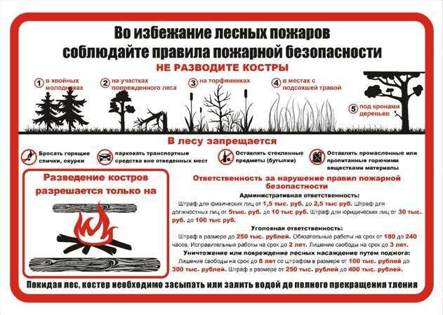 пожарная безопасность в лесу памятка фото