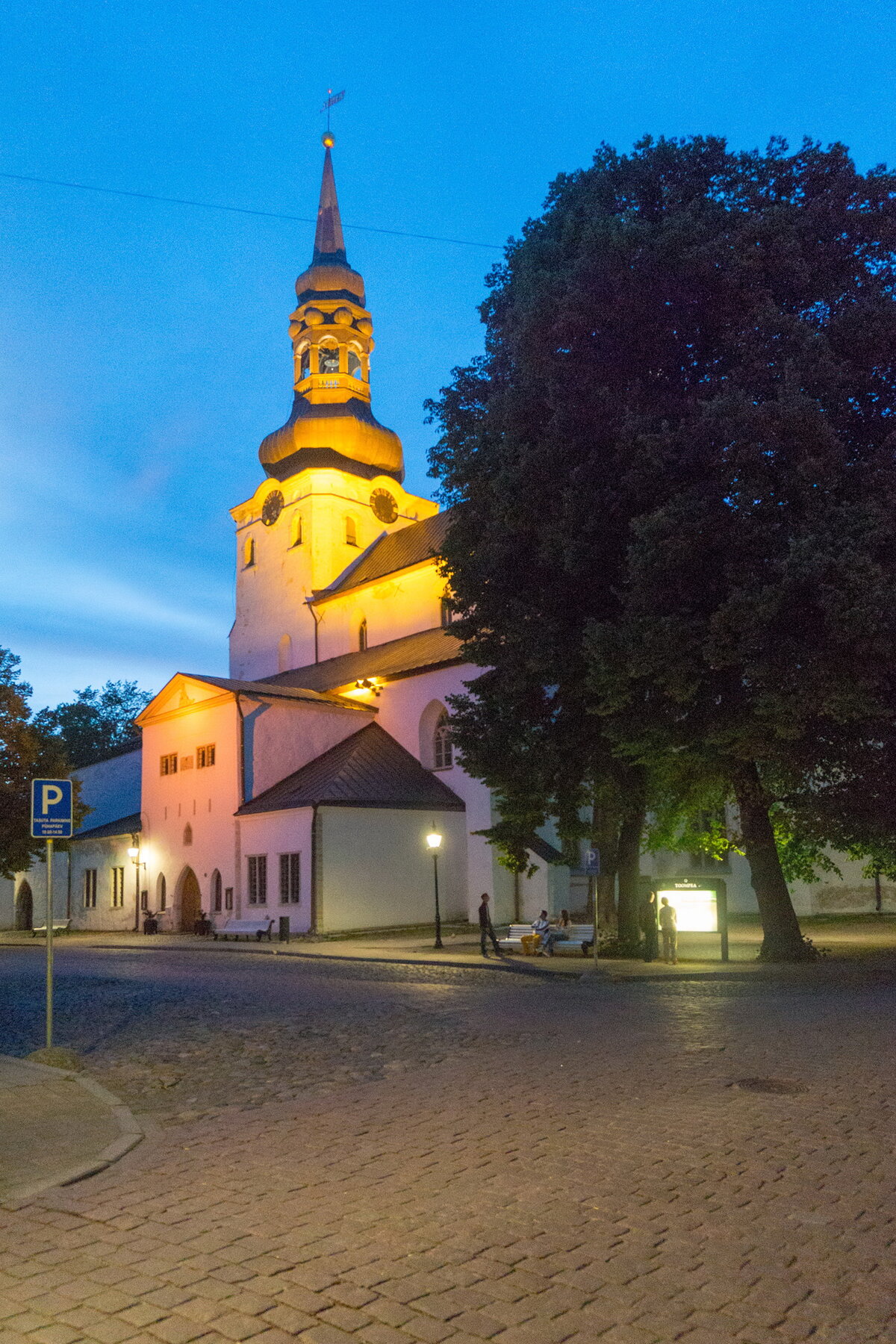 домский собор таллин фото