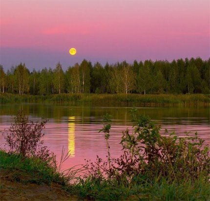 тихий летний вечер фото