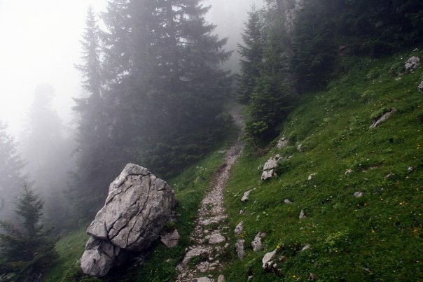 стихи про испытания фото